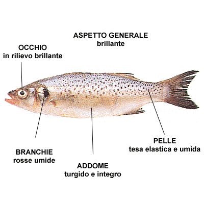 info